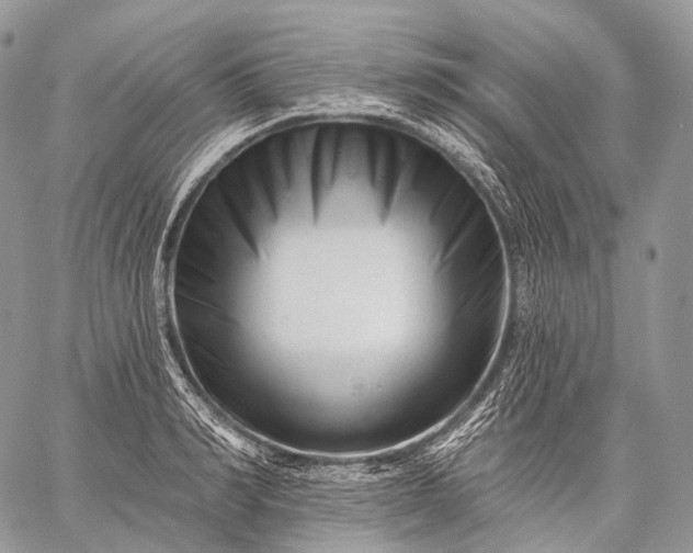 X0000059080990200510211537