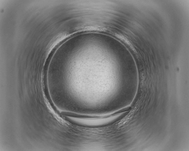 X0000059080991200510211537