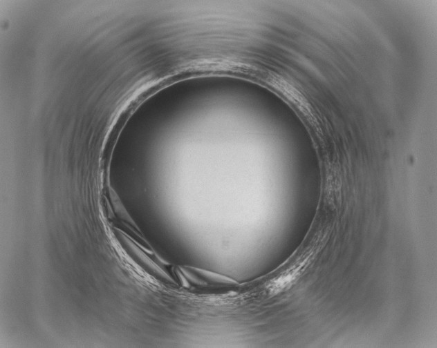 X0000059080992200510211537