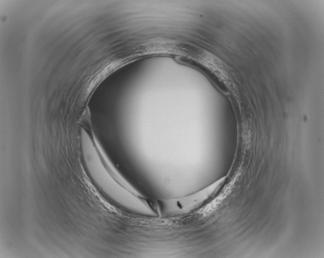 X0000059080993200510211537