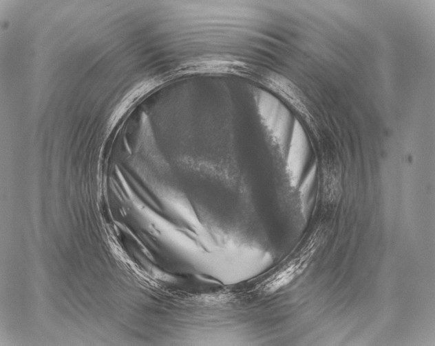 X0000059080994200510211537