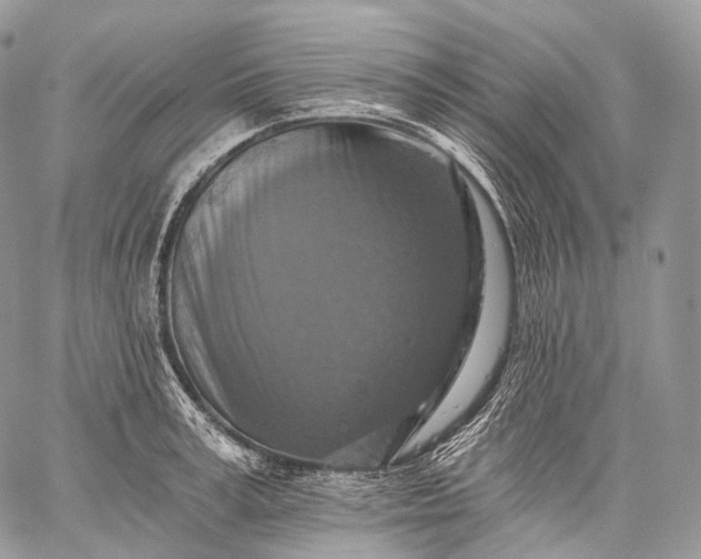 X0000059080995200510211537