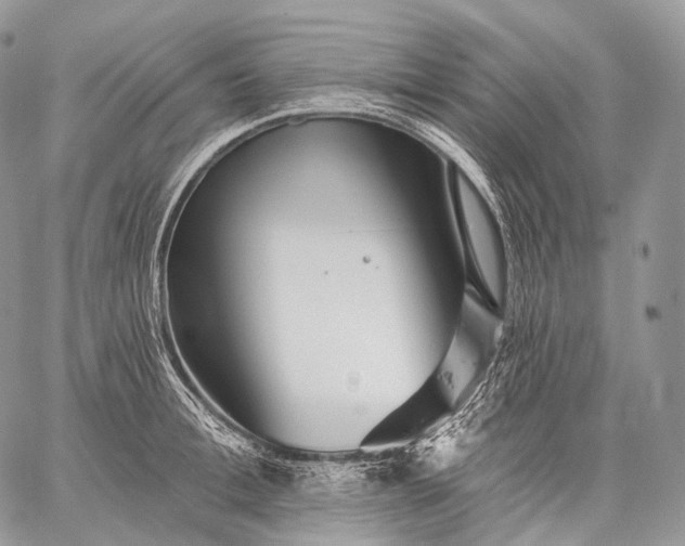 X0000059080996200510211537