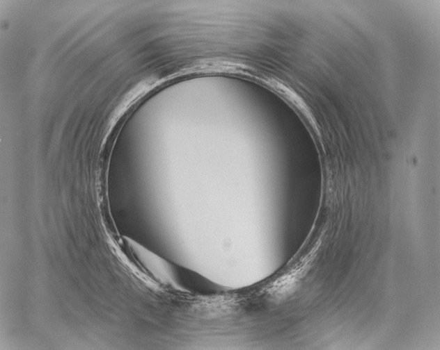 X0000059080997200510211537