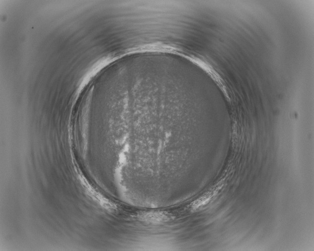 X0000059080998200510211537