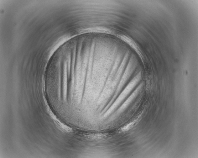 X0000059080999200510211537