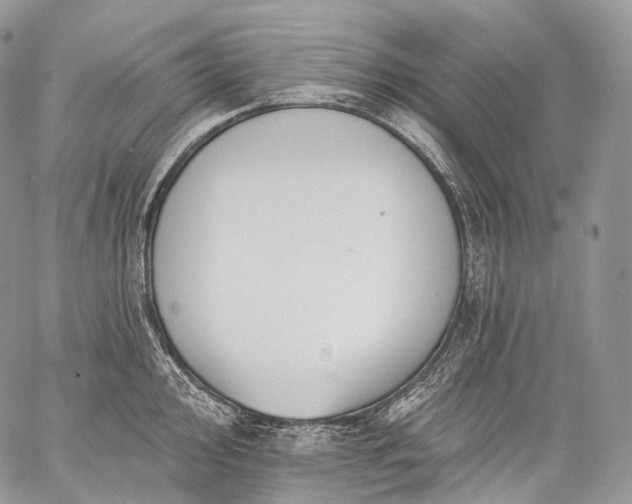 X0000059081000200510211537