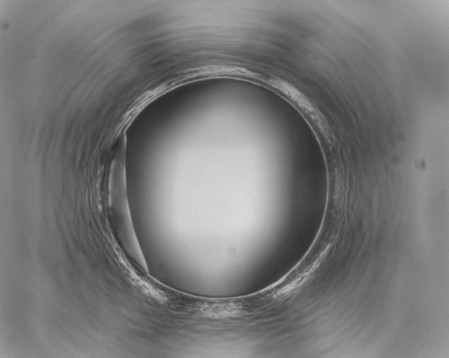 X0000059081001200510211537