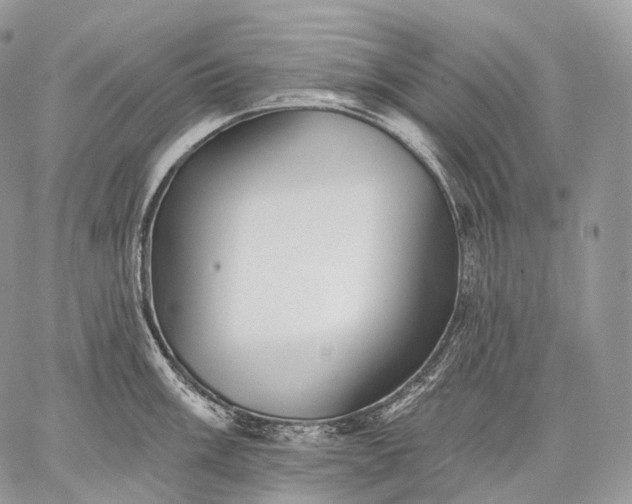 X0000059081003200510211537