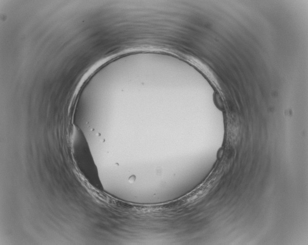 X0000059081004200510211537