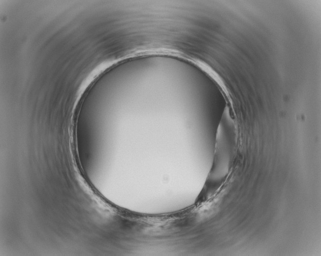 X0000059081005200510211537