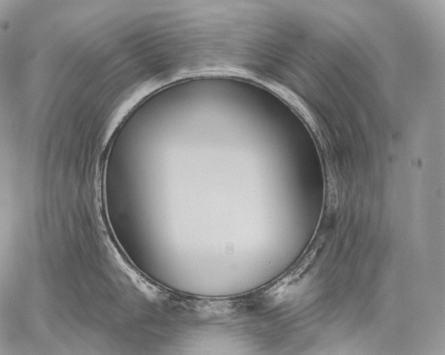 X0000059081006200510211537