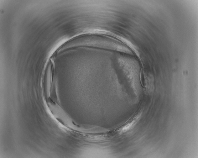 X0000059081007200510211537