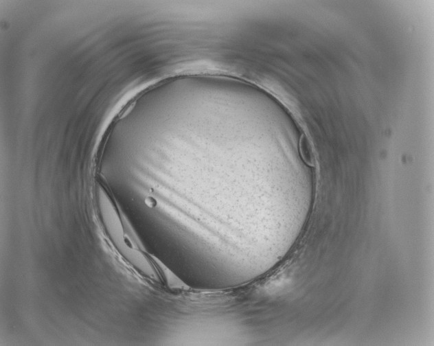 X0000059081008200510211537