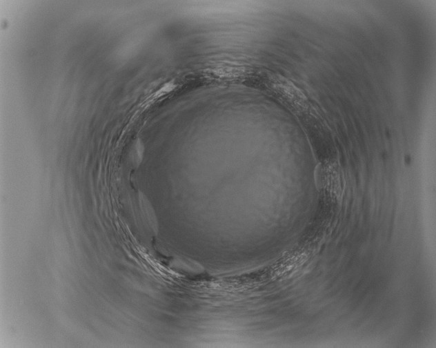 X0000059081009200510211536