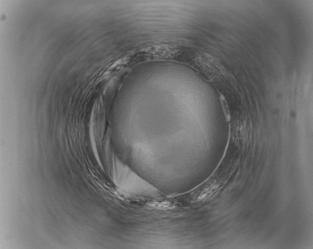 X0000059081010200510211536