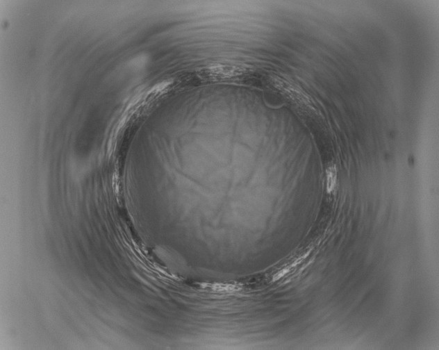 X0000059081011200510211536