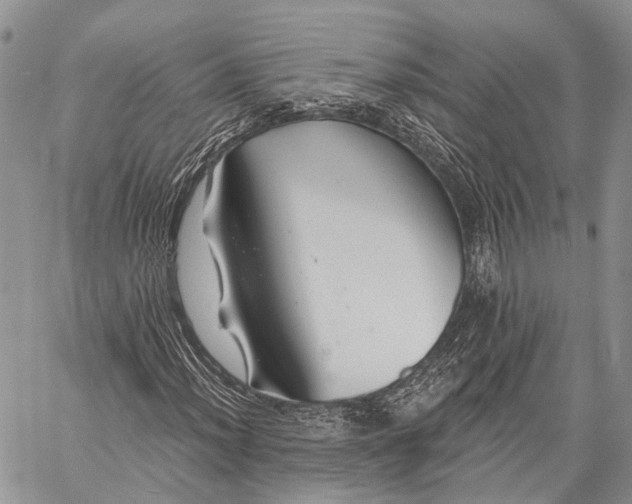 X0000059081012200510211536