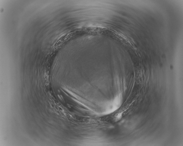 X0000059081013200510211536