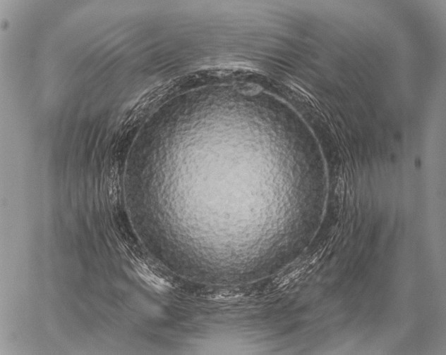 X0000059081014200510211536