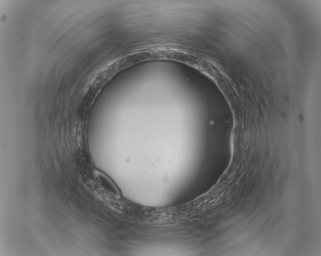 X0000059081016200510211536