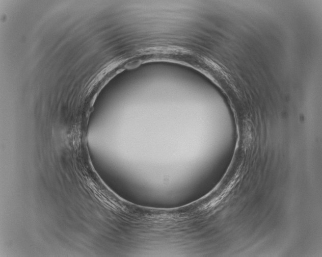 X0000059081017200510211536