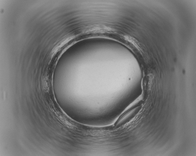 X0000059081018200510211536