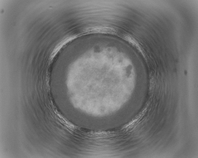 X0000059081019200510211536