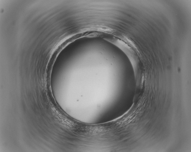 X0000059081020200510211536