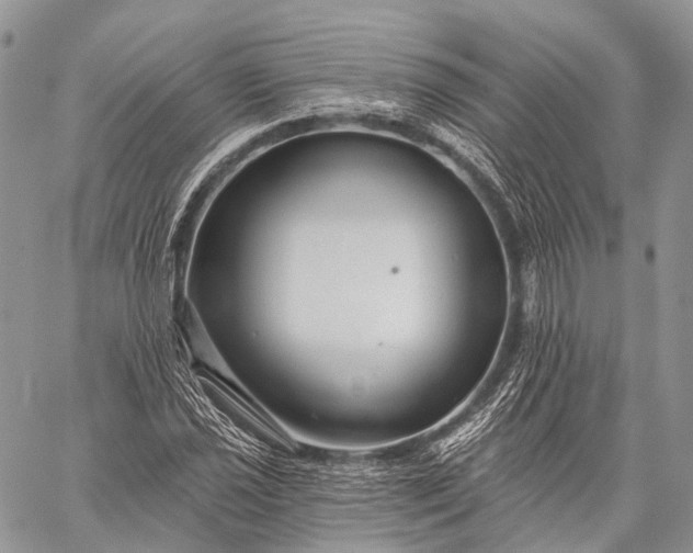 X0000059081021200510211536