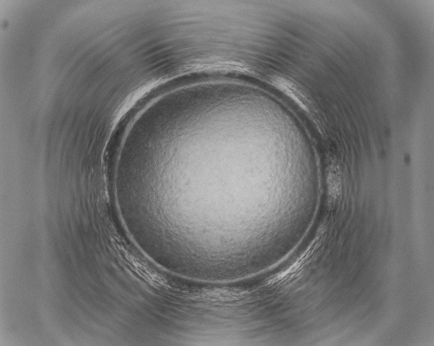 X0000059081022200510211536