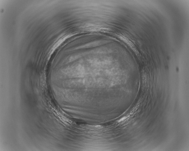 X0000059081023200510211536