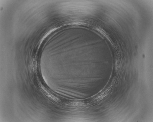 X0000059081024200510211536