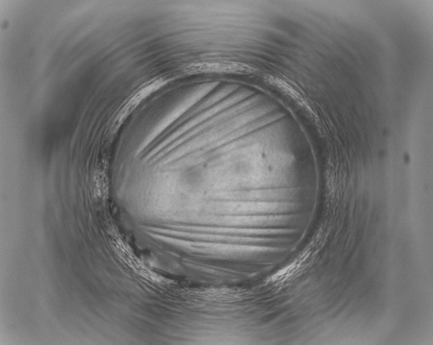 X0000059081025200510211536