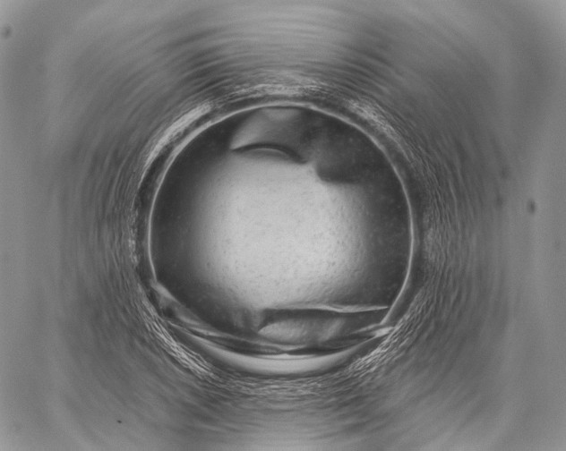 X0000059081026200510211536