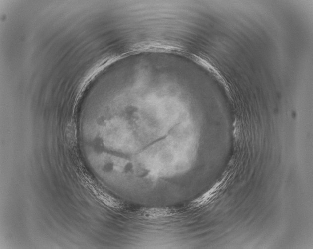 X0000059081027200510211536