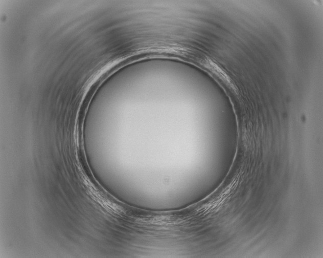 X0000059081028200510211536