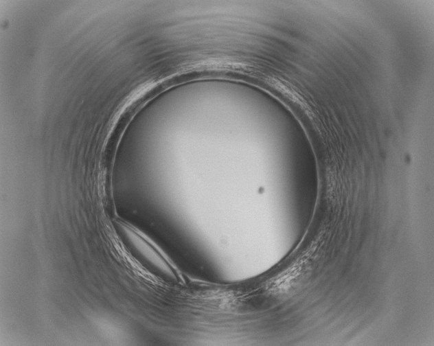 X0000059081029200510211537