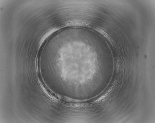 X0000059081030200510211537