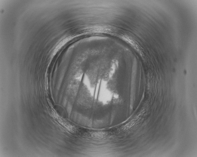 X0000059081031200510211537