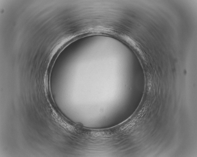 X0000059081032200510211537