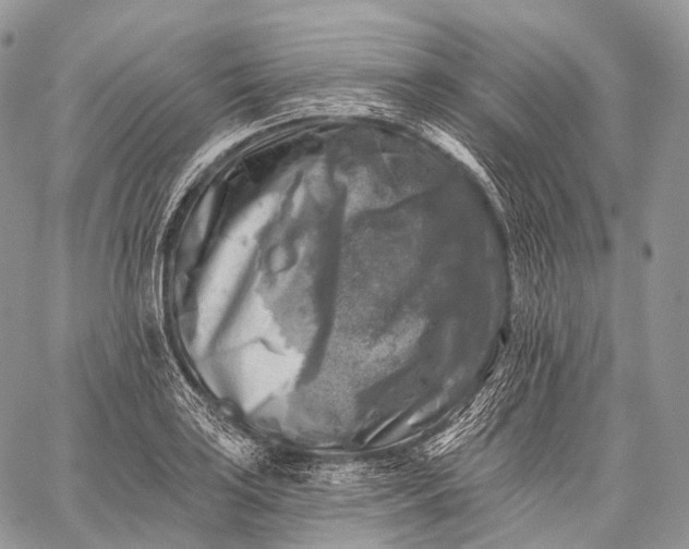 X0000059081035200510211537