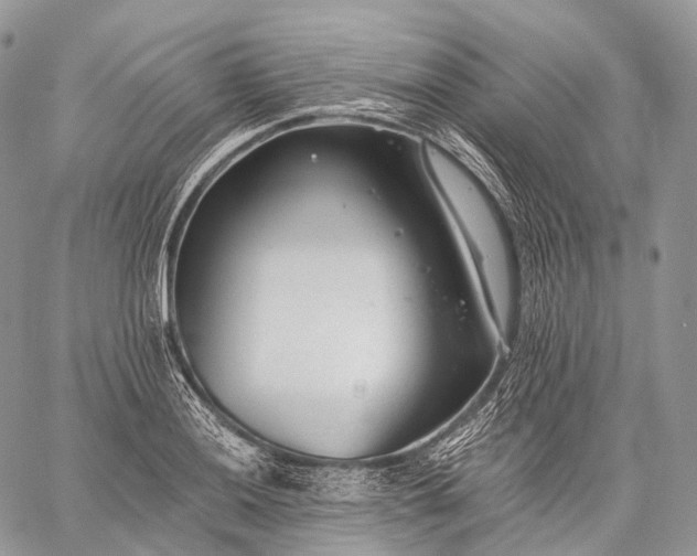 X0000059081036200510211537