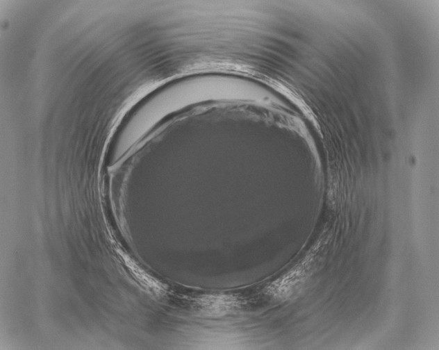 X0000059081037200510211537