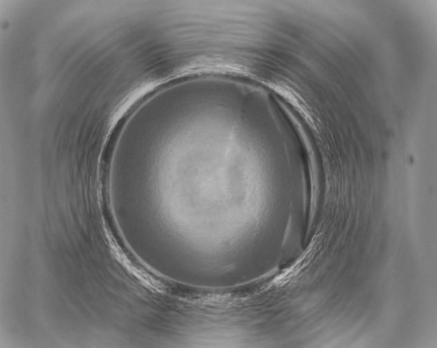 X0000059081038200510211537