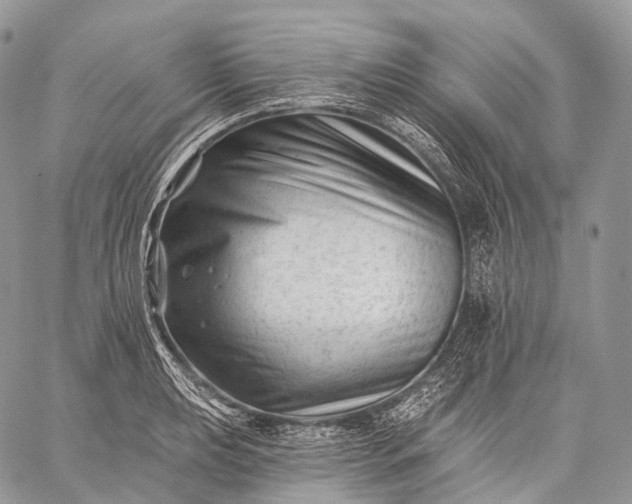 X0000059081039200510211537