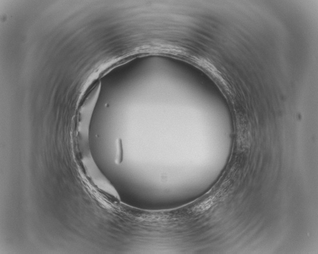 X0000059081040200510211537