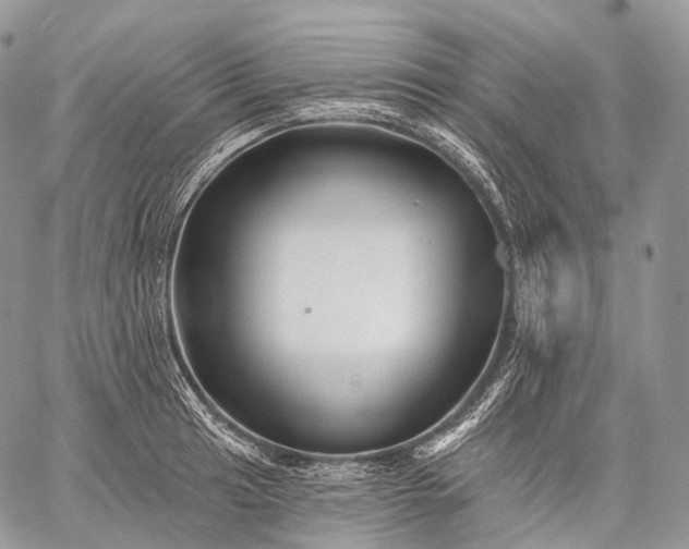 X0000059081041200510211537