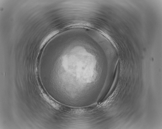 X0000059081042200510211537