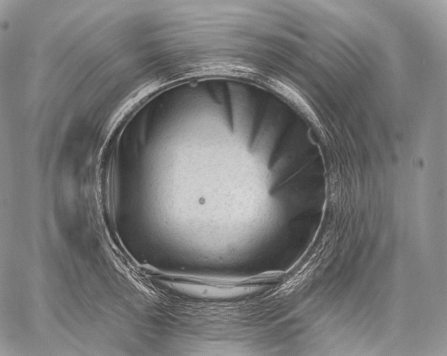 X0000059081043200510211537